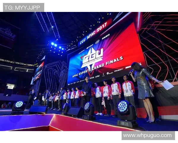 2017大型电竞比赛-2017大型电竞比赛的盛宴，激情与技术的碰撞-2017大型电竞比赛